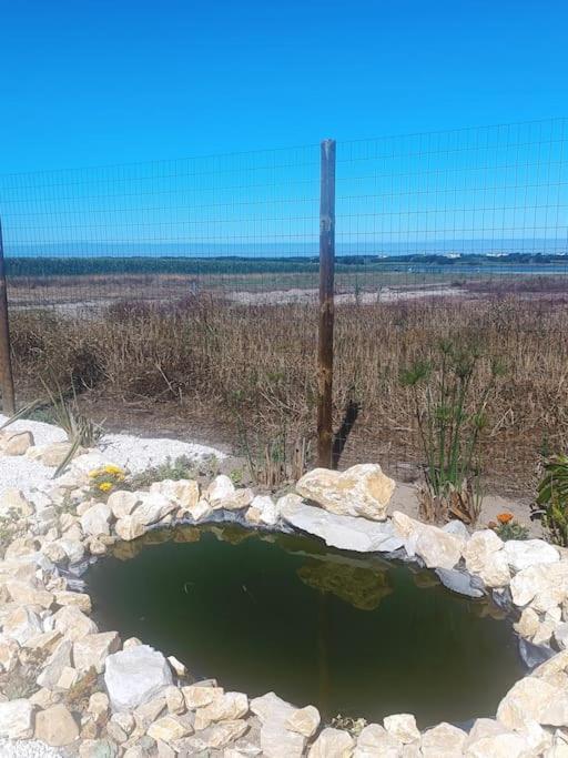 Casa Da Mareria Villa Gafanha da Boa Hora Eksteriør bilde